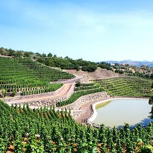 La Gelsomina - Etna Séjour à la ferme Presa
